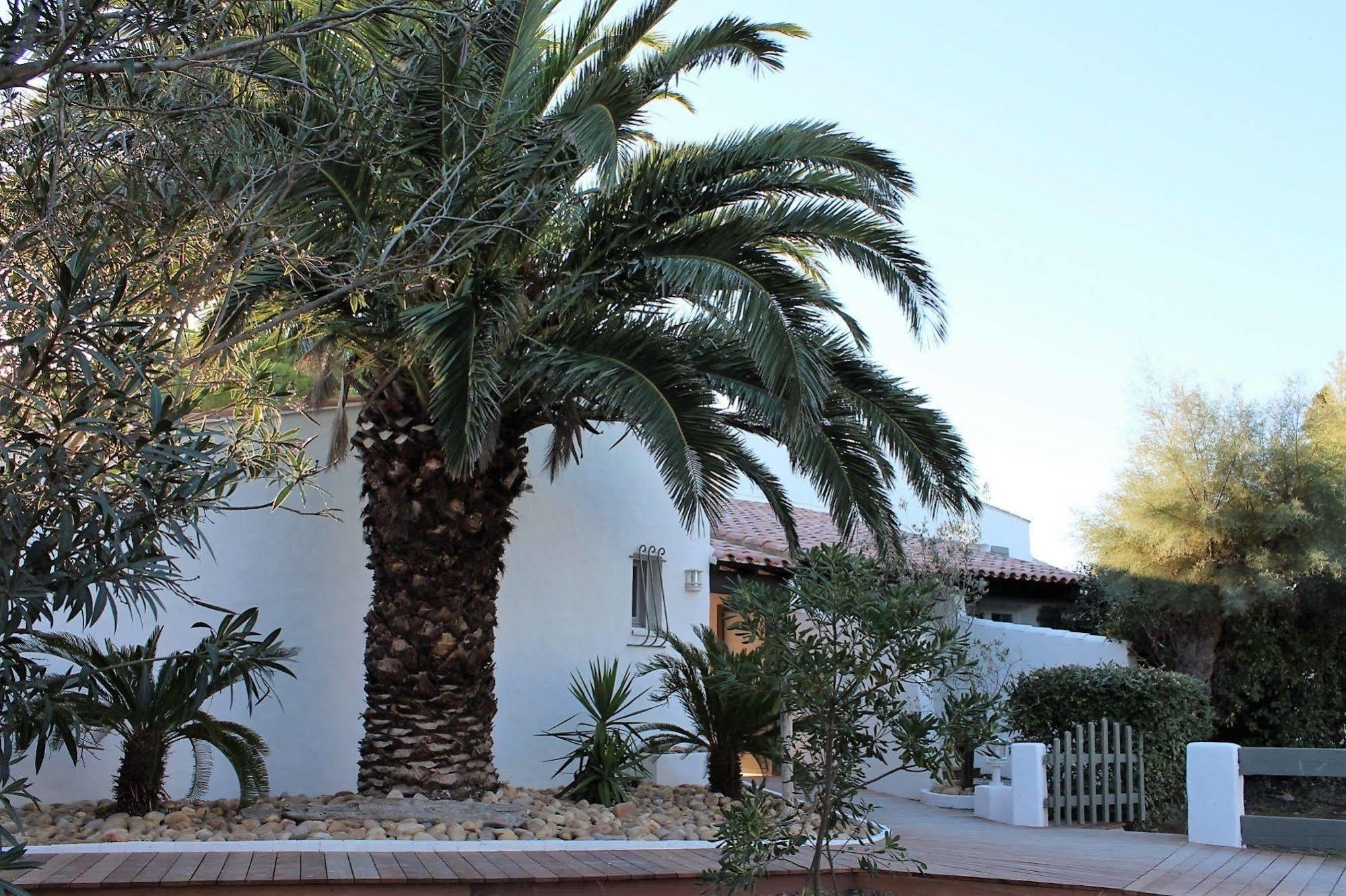 Mas Des Rieges & Spa Saintes-Maries-de-la-Mer Exterior photo